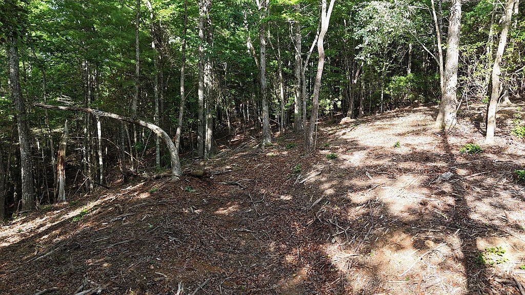 Township Road C E Ellijay, GA 30536 - Thumbnail 3