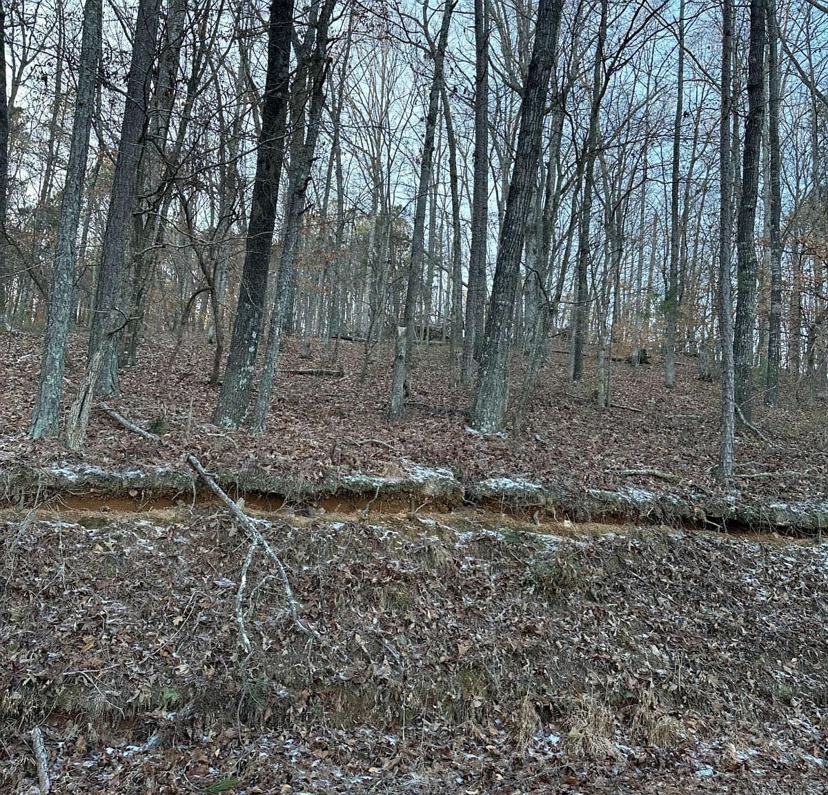 1148 Cokers Chapel Rd Ball Ground, GA 30107 - Thumbnail 3