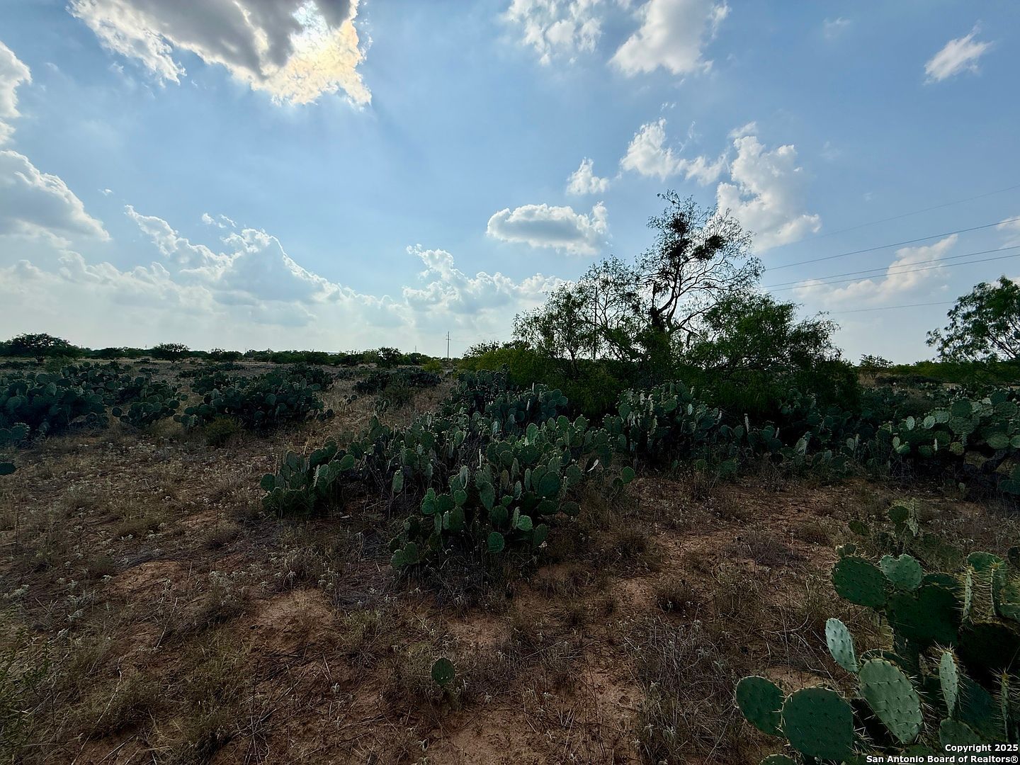 LOT 61 E County Road 1647 Moore, TX 78057 - Thumbnail 3