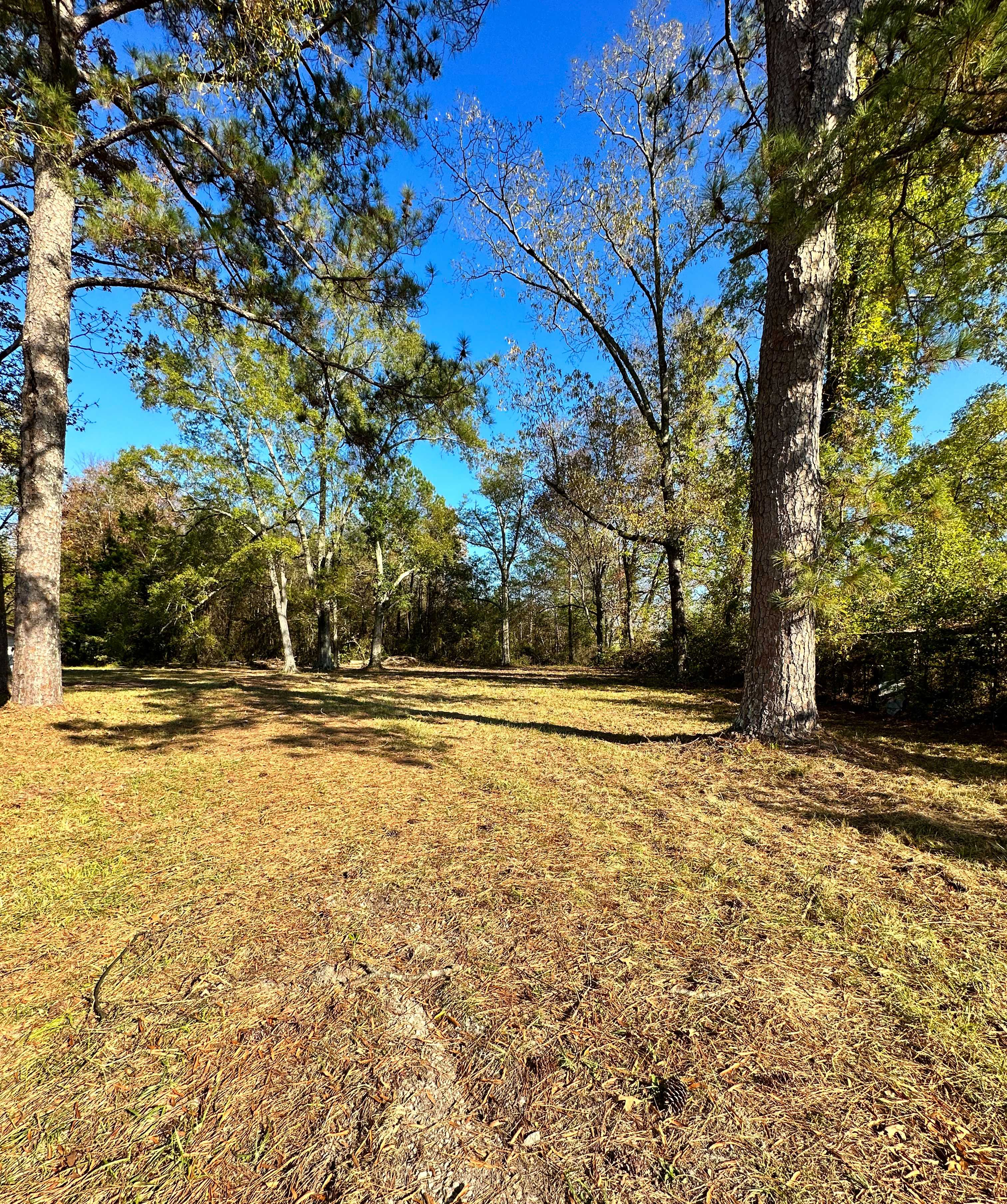 1126 Sutton Bridge Road, Rainbow City, AL, USA, 35906 - Thumbnail 3