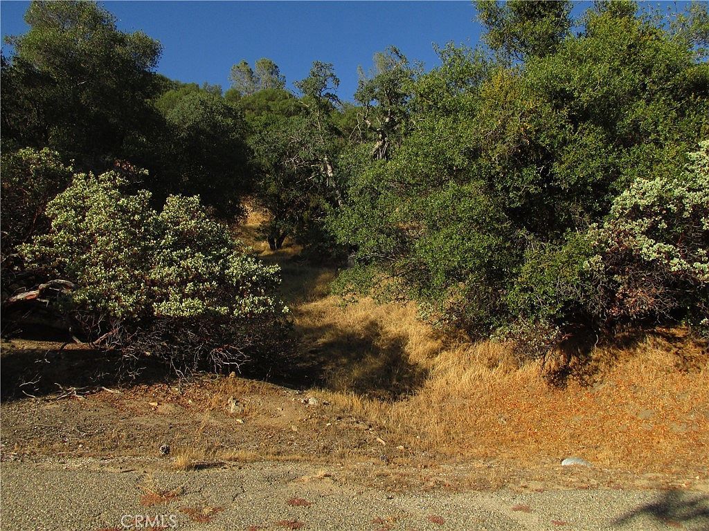 Old Oaks Ct LOT 3 North Fork, CA 93643 - Thumbnail 3