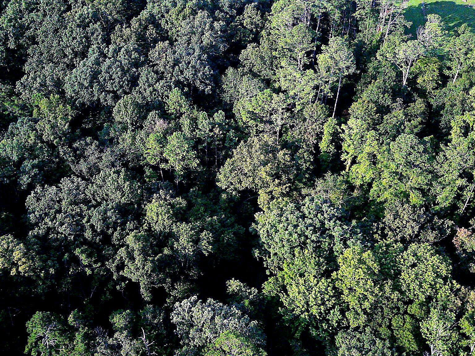 1343 Thrasher Pike Hixson, TN 37343 - Thumbnail 3