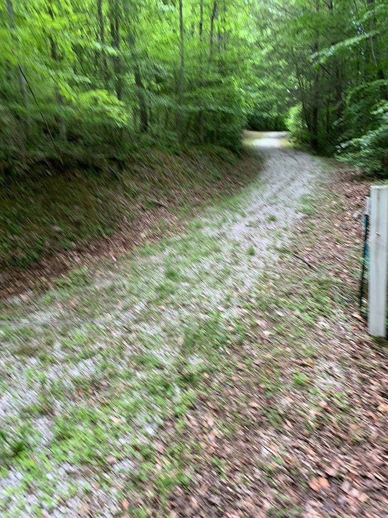 0 Barton Ln #1 Viper, KY 41774 - Thumbnail 3