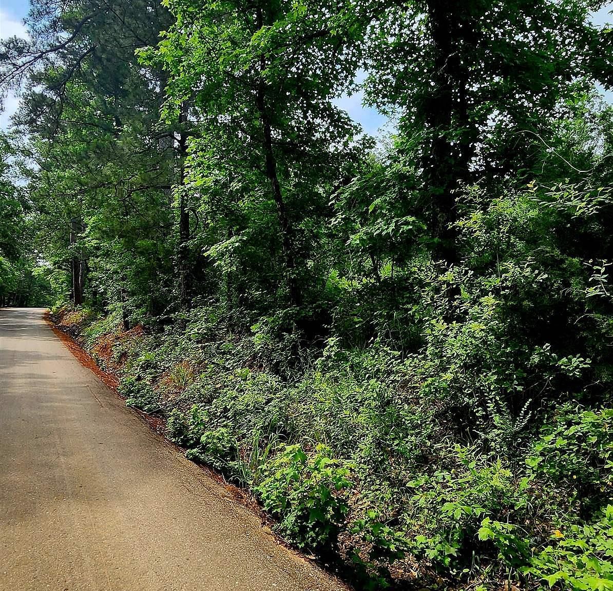 Tbd Bobwhite Rd Gilmer, TX 75645 - Thumbnail 3