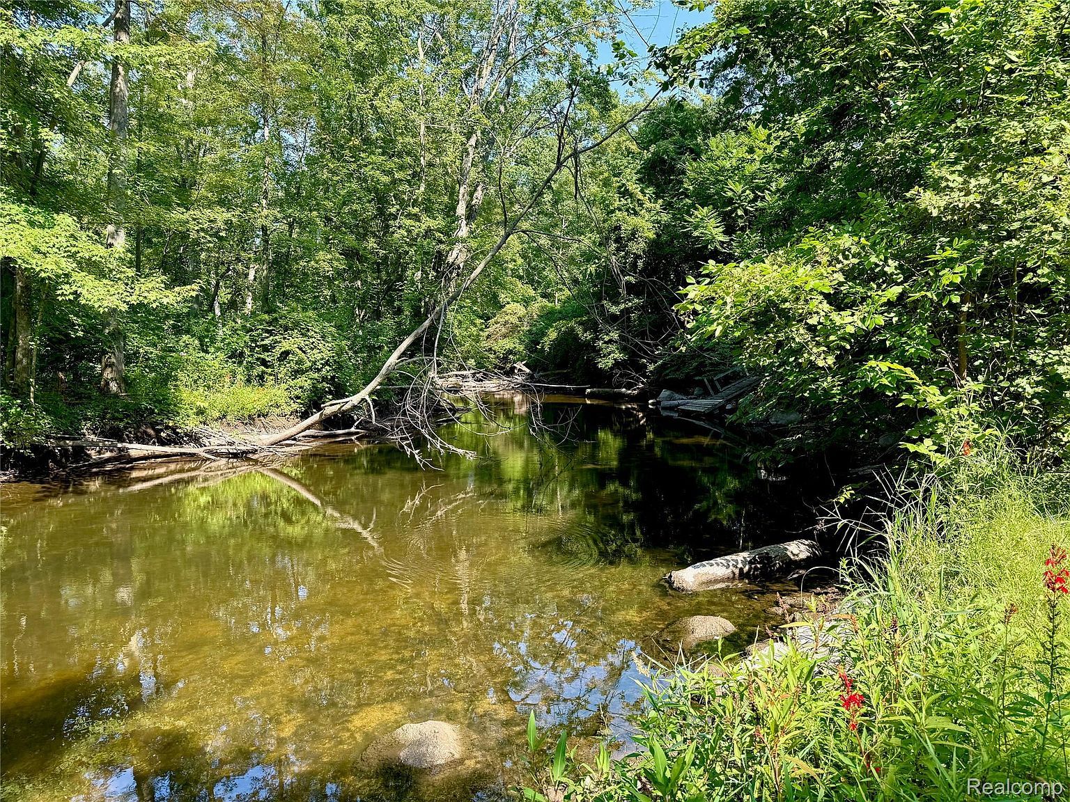 15276 Outer Dr Linden, MI 48451 - Thumbnail 3