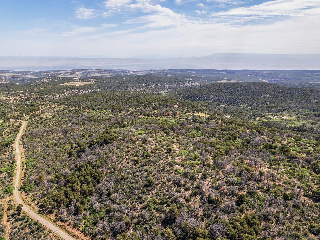 Tbd Elk Reserve Rd Glade Park, CO 81523 - Thumbnail 3