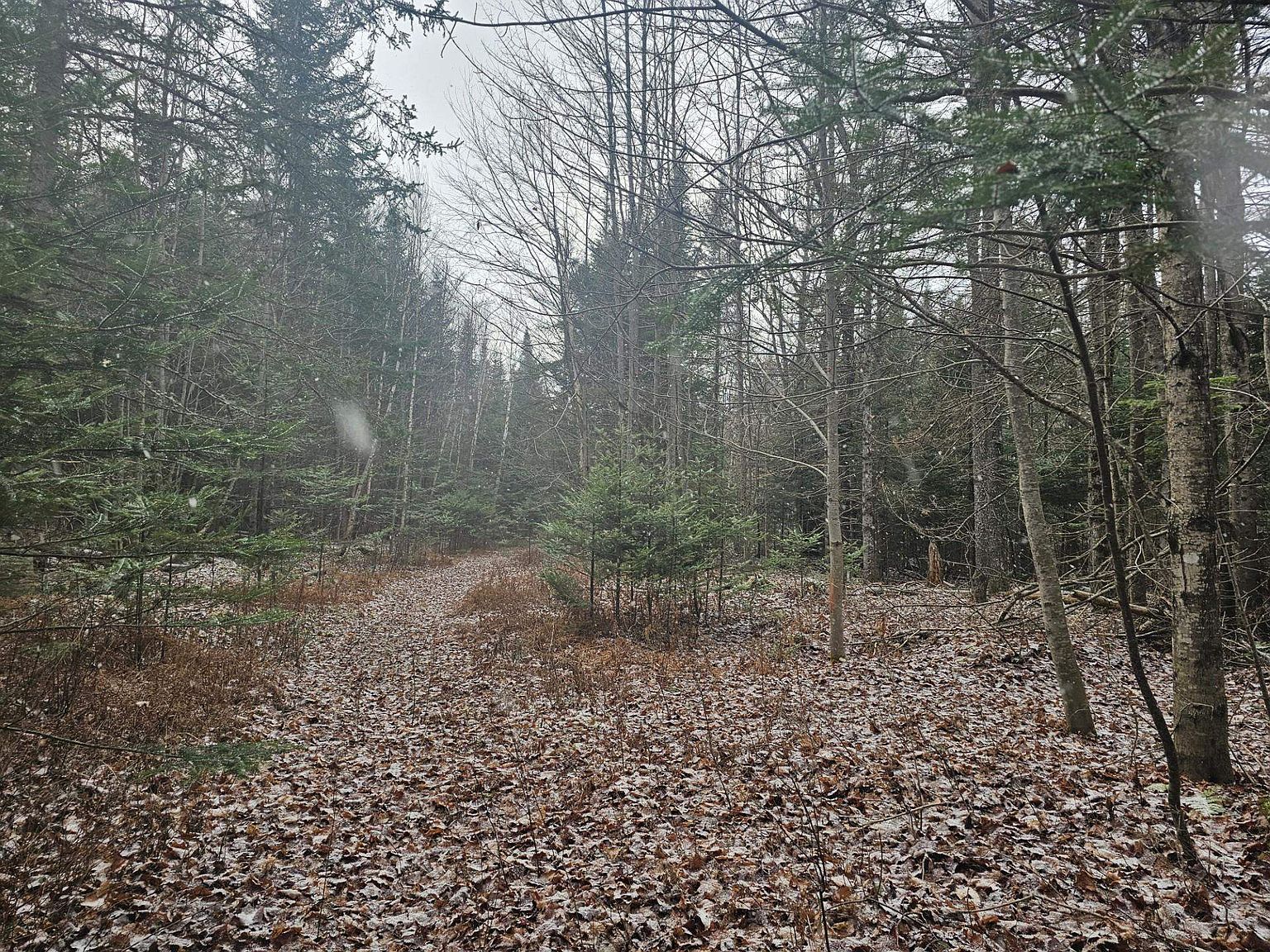 461 Hill Rd #MAP Milan, NH 03588 - Thumbnail 3