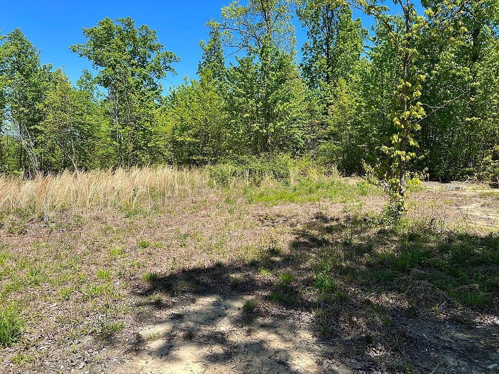 LOT McCartt Ridge Ln #J Sunbright, TN 37872 - Thumbnail 3