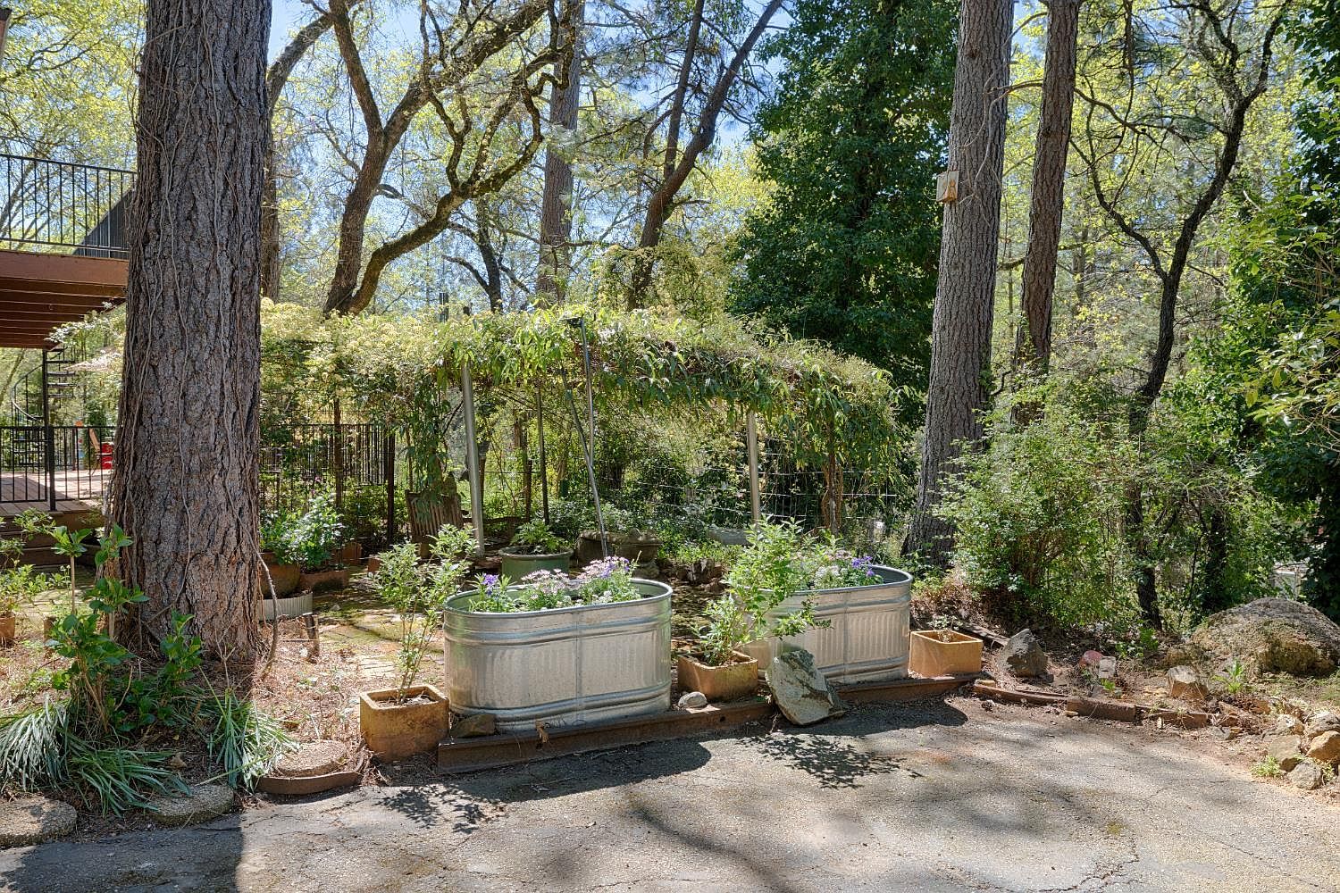 1250 Combie Rd Meadow Vista, CA 95722 - Thumbnail 3