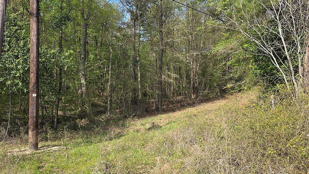 Spanish Bluff Rd Nacogdoches, TX 75964 - Thumbnail 3