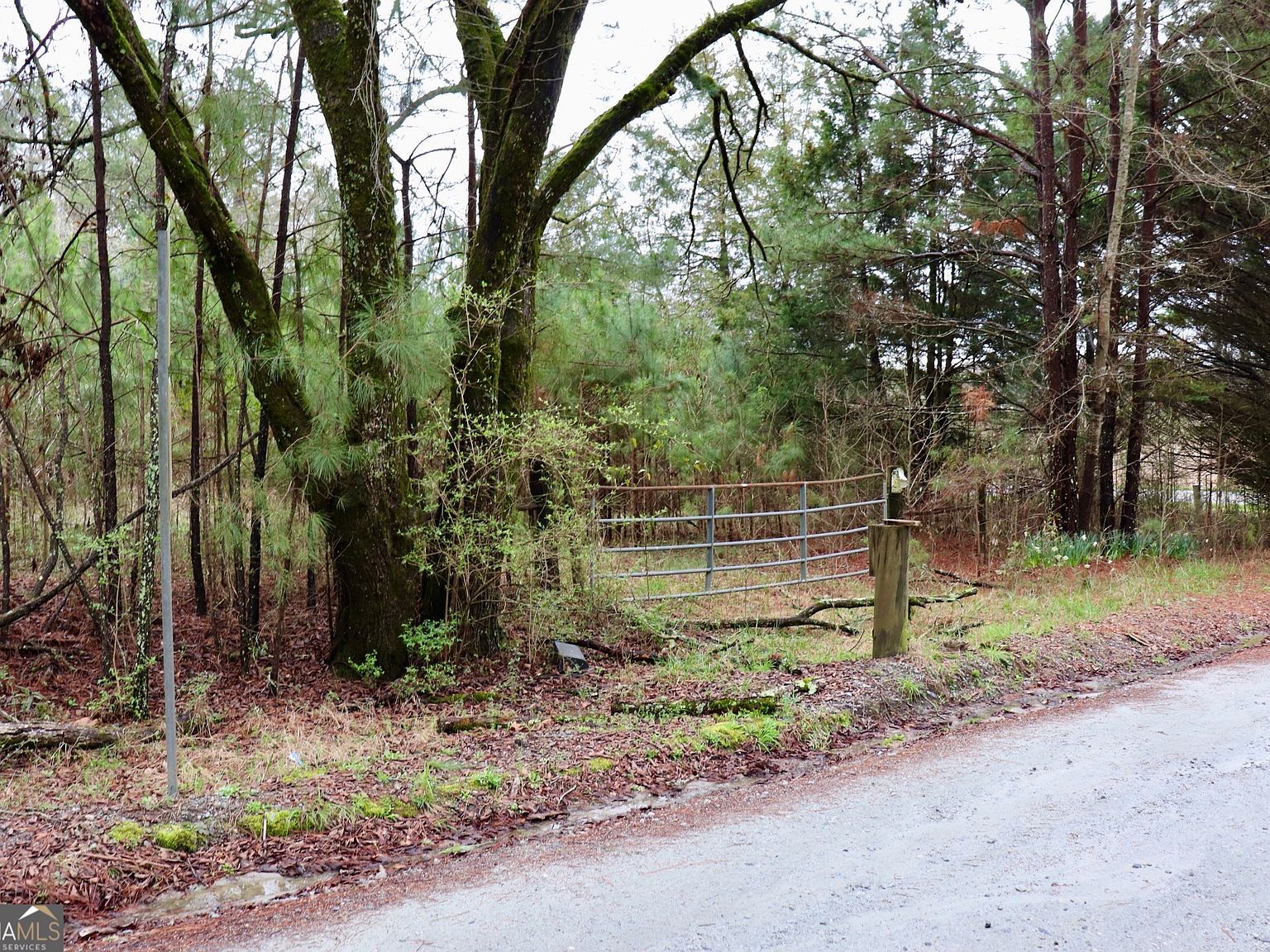 0 Rico Rd Chattahoochee Hills, GA 30268 - Thumbnail 3