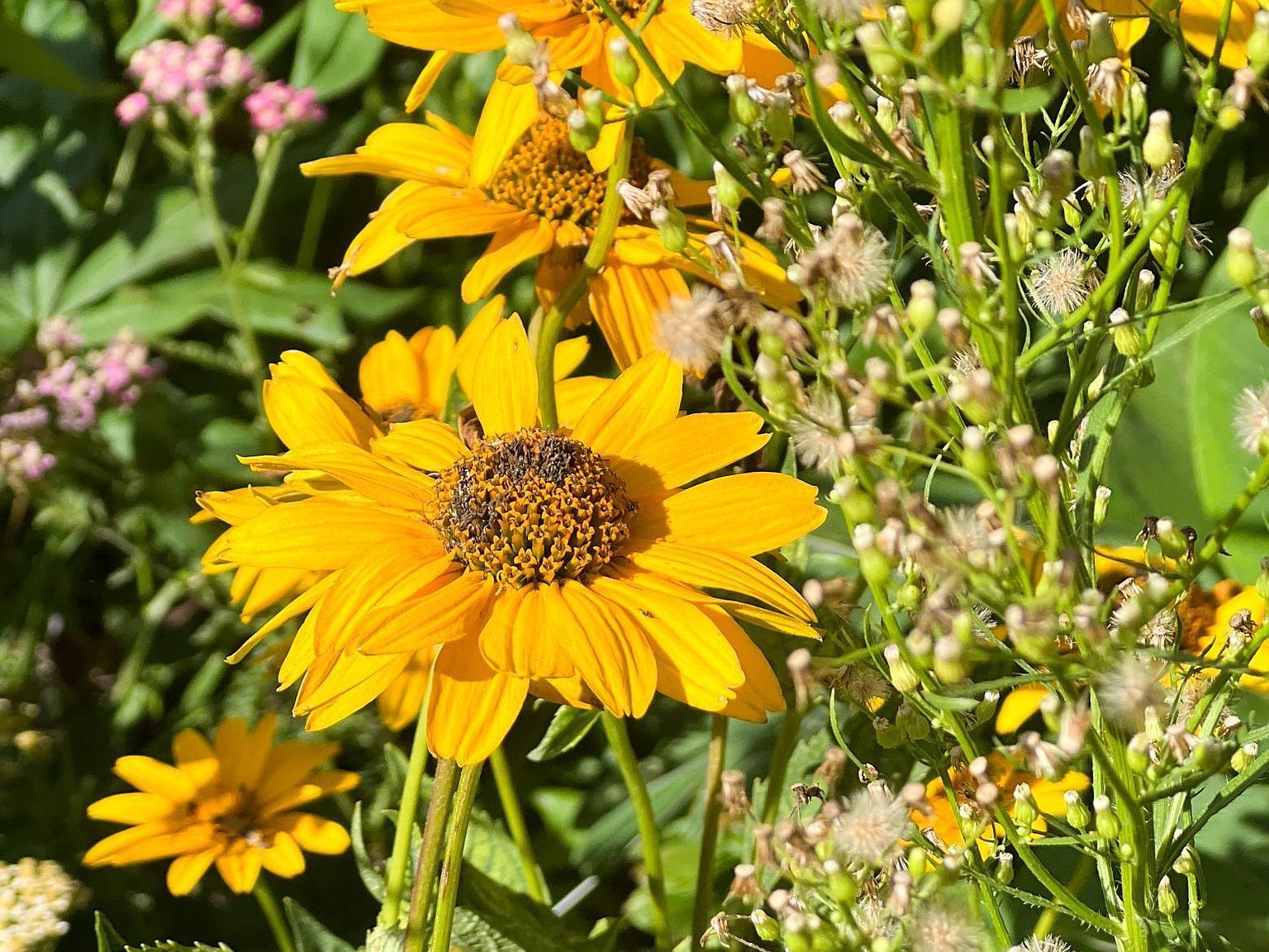 2019 Whiting Rd NW Bemidji, MN 56601 - Thumbnail 3