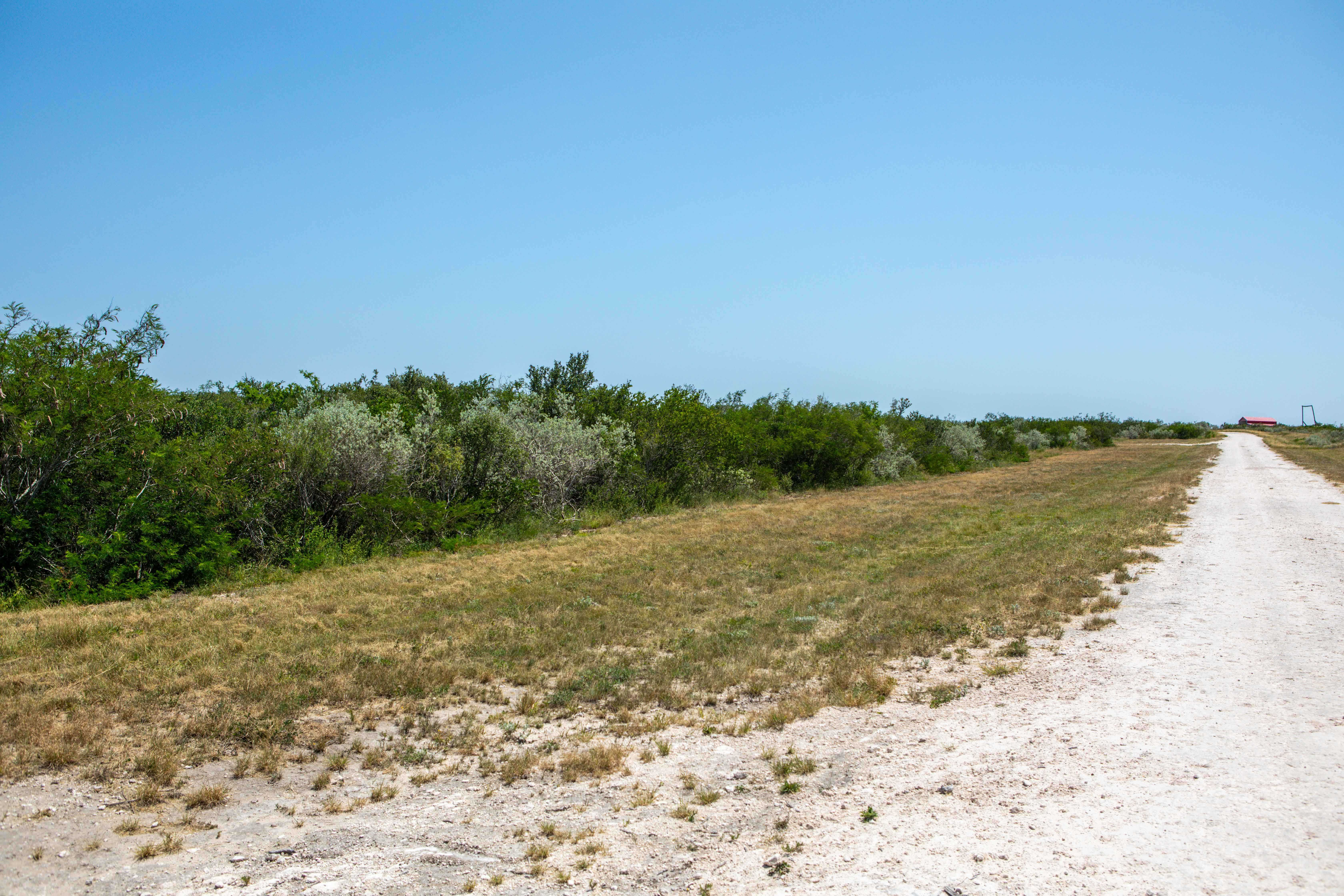 Live Oak Spur, George West, TX, 78022 - Thumbnail 3