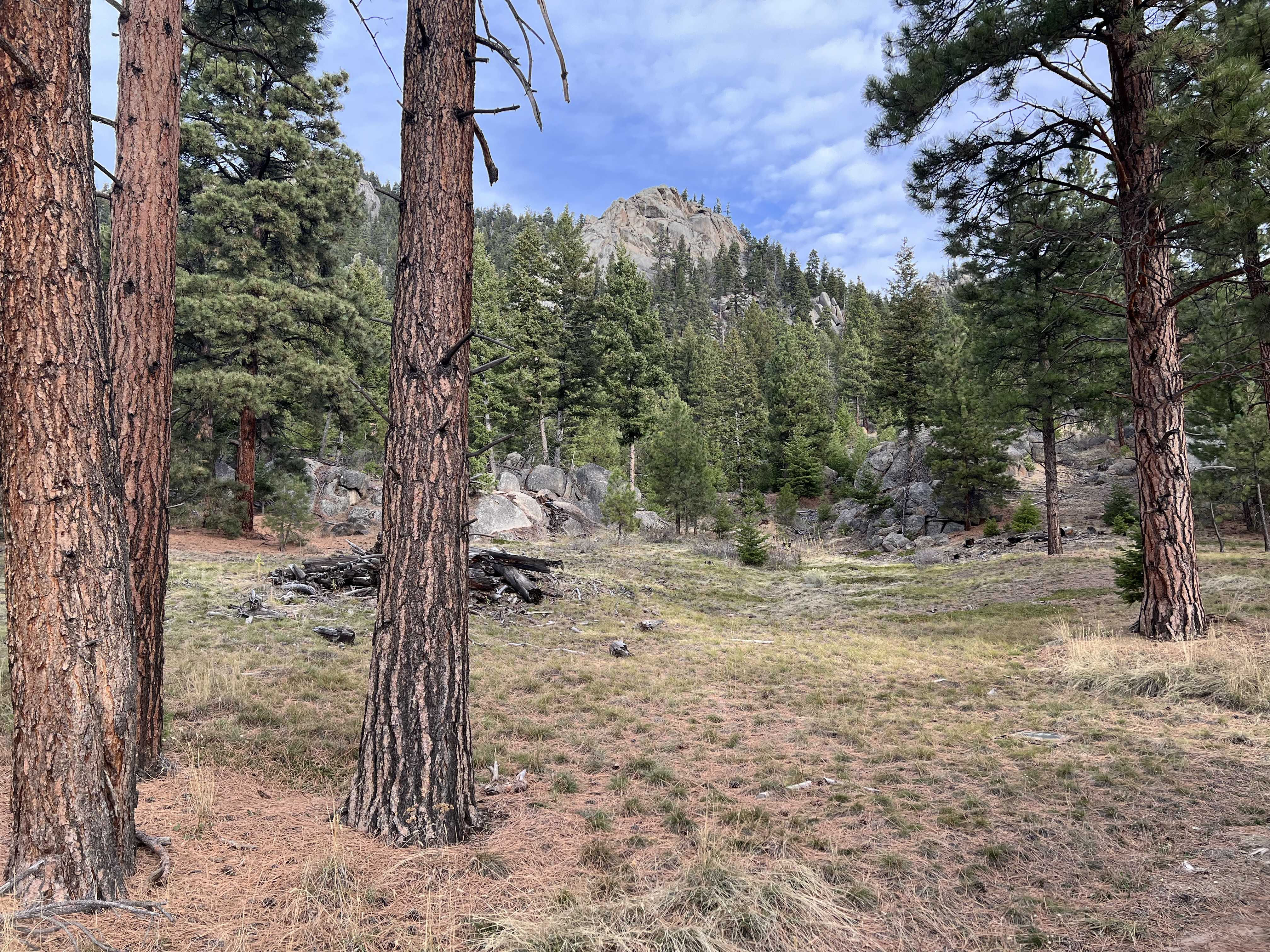 12 Big Horn Dr, Clancy, MT, USA, 59634 - Thumbnail 3