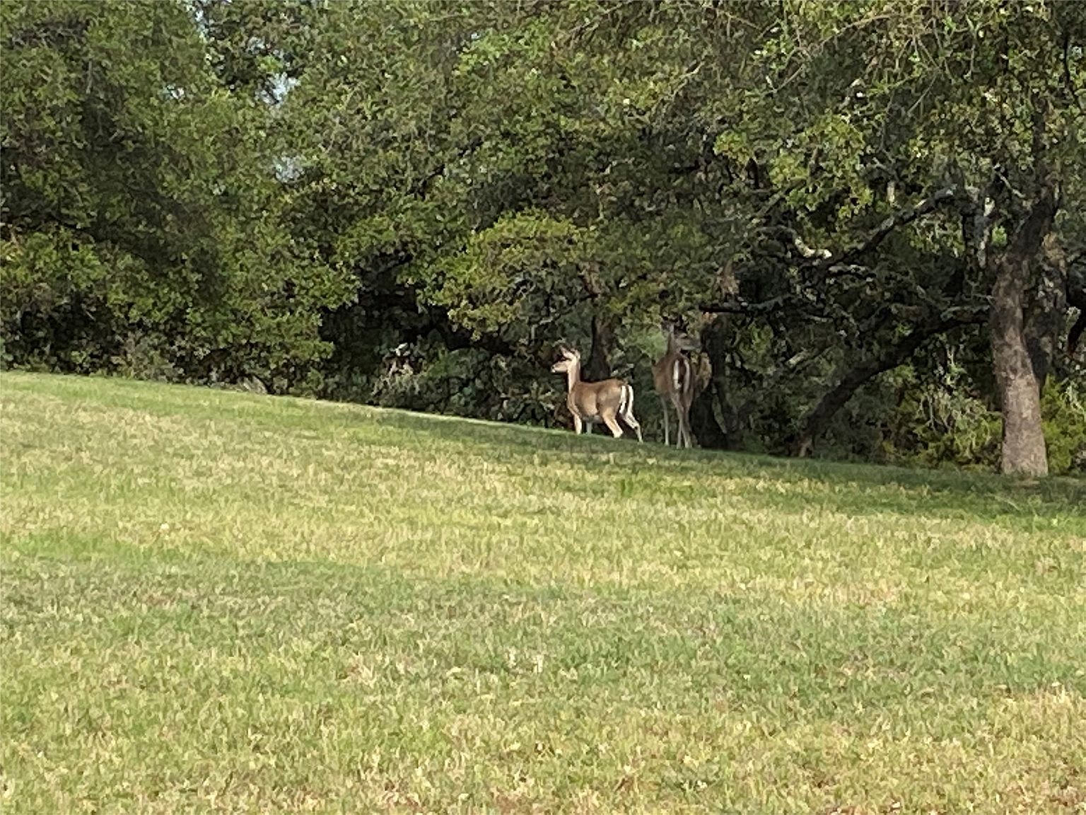 15039 Golf Dr Whitney, TX 76692 - Thumbnail 3