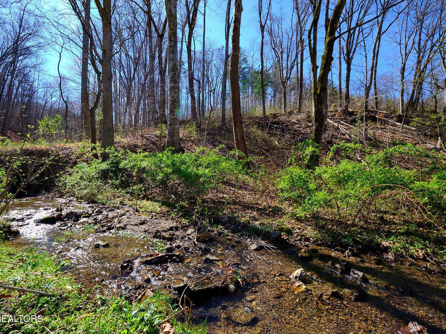 3212 Long Hollow Rd Powell, TN 37849 - Thumbnail 3