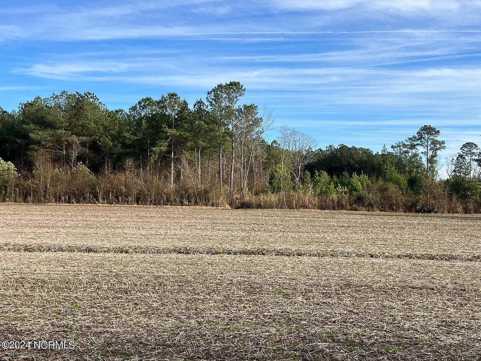 214 Mutt Griffin Rd Pink Hill, NC 28572  | Land/Lot