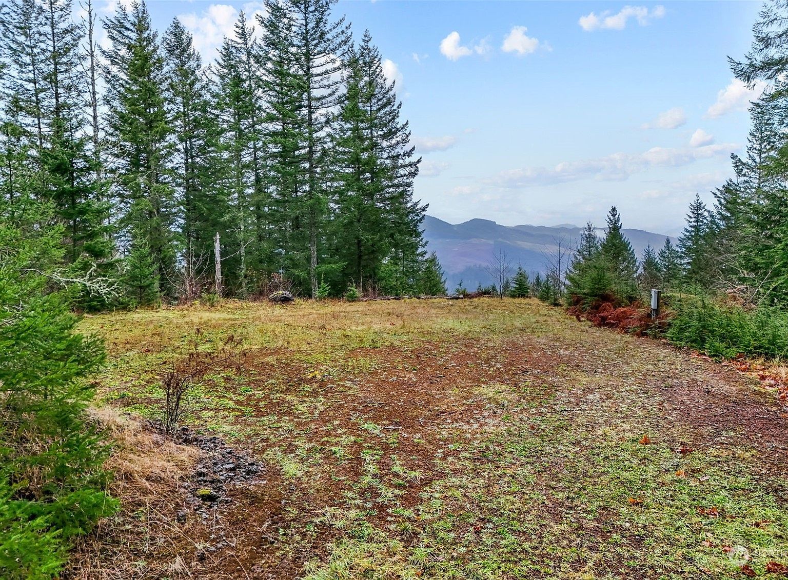 143 Meadow Ridge Way Mossyrock, WA 98564 - Thumbnail 3