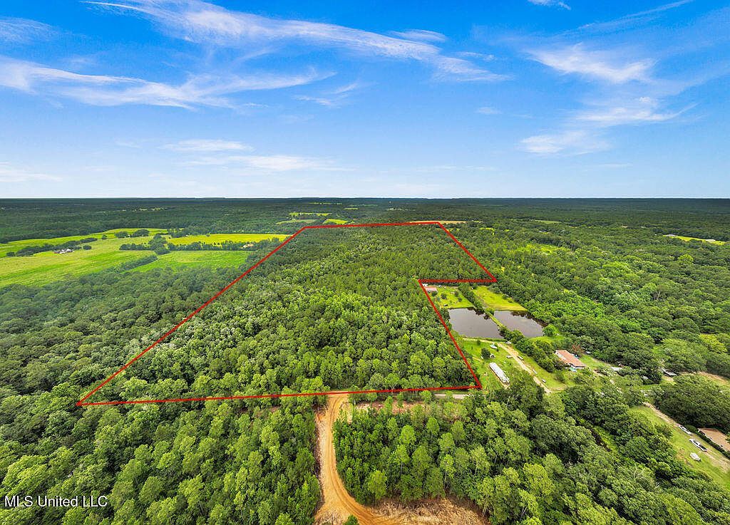 278 Cowart Rd Lucedale, MS 39452 - Thumbnail 3