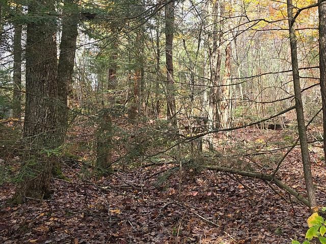 44 Huntington Dr Hillsboro, NH 03244 - Thumbnail 3