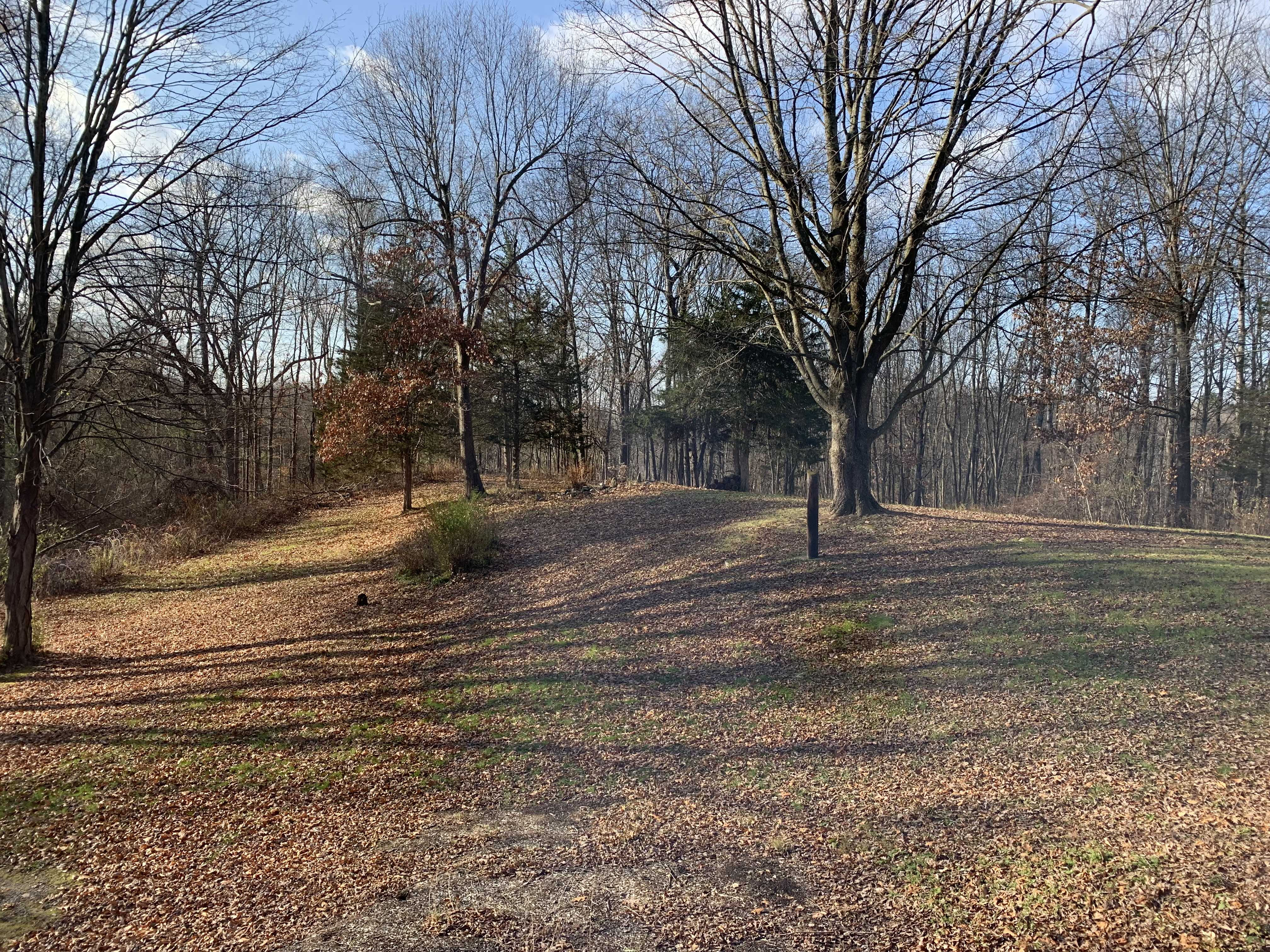 237 Masten Road, Pleasant Valley, NY, USA, 12569 | Single Family