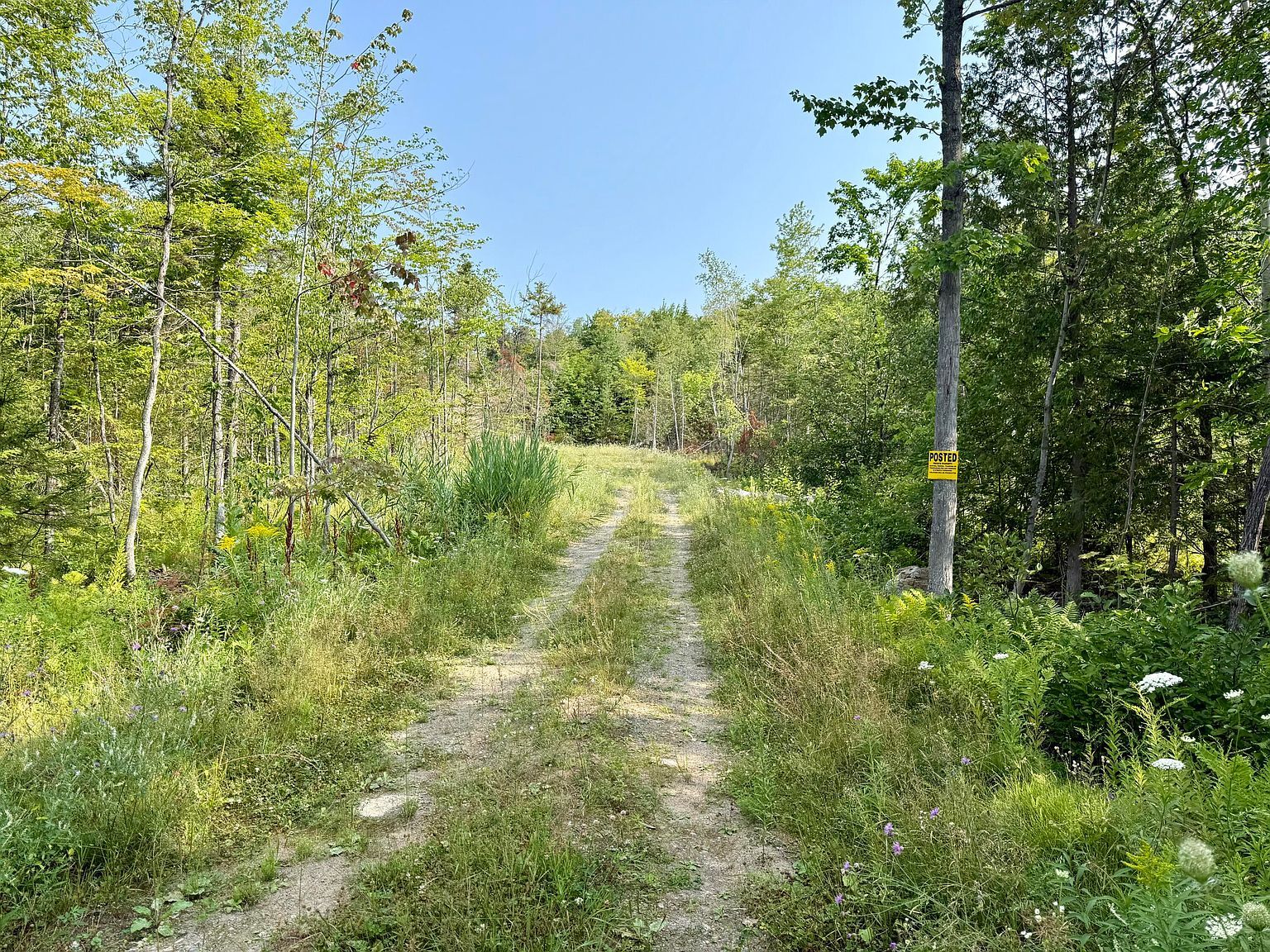 1078 General Leroy Manor Rd Cadyville, NY 12918 - Thumbnail 3