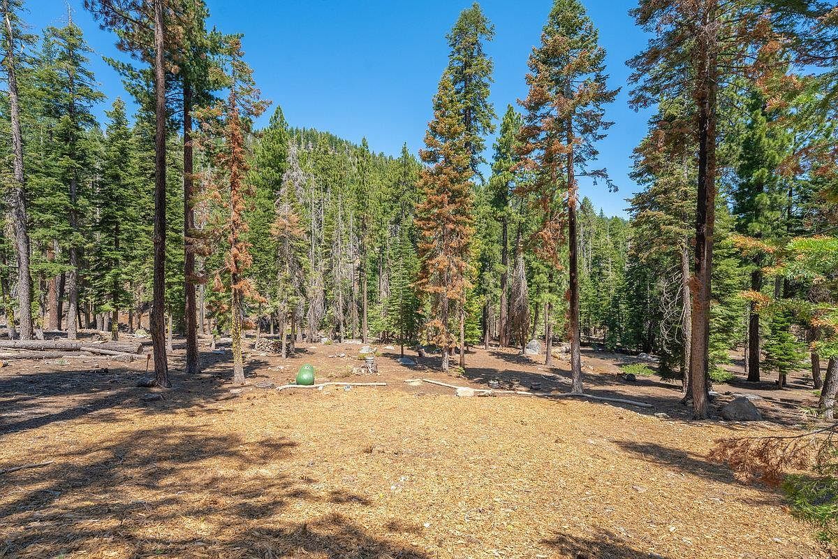 446 Sierra Dr Tahoma, CA 96142 - Thumbnail 3