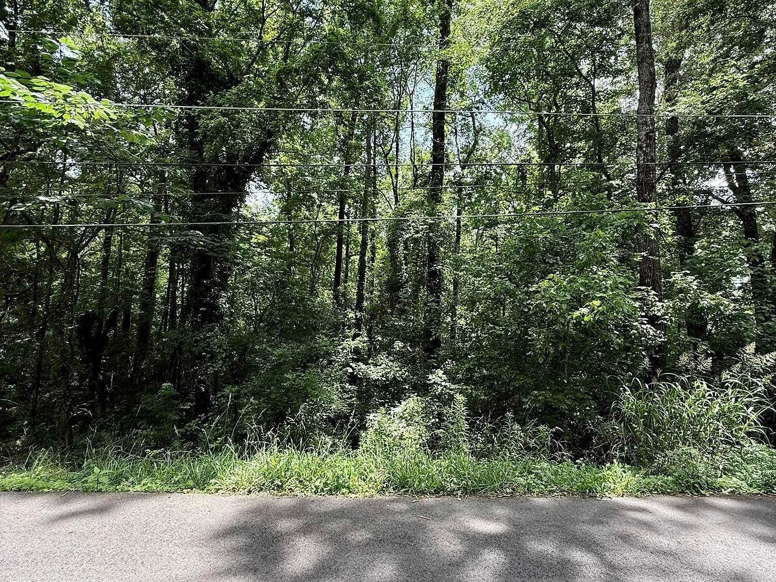 8215 Baker Ave Leeds, AL 35094 - Thumbnail 3