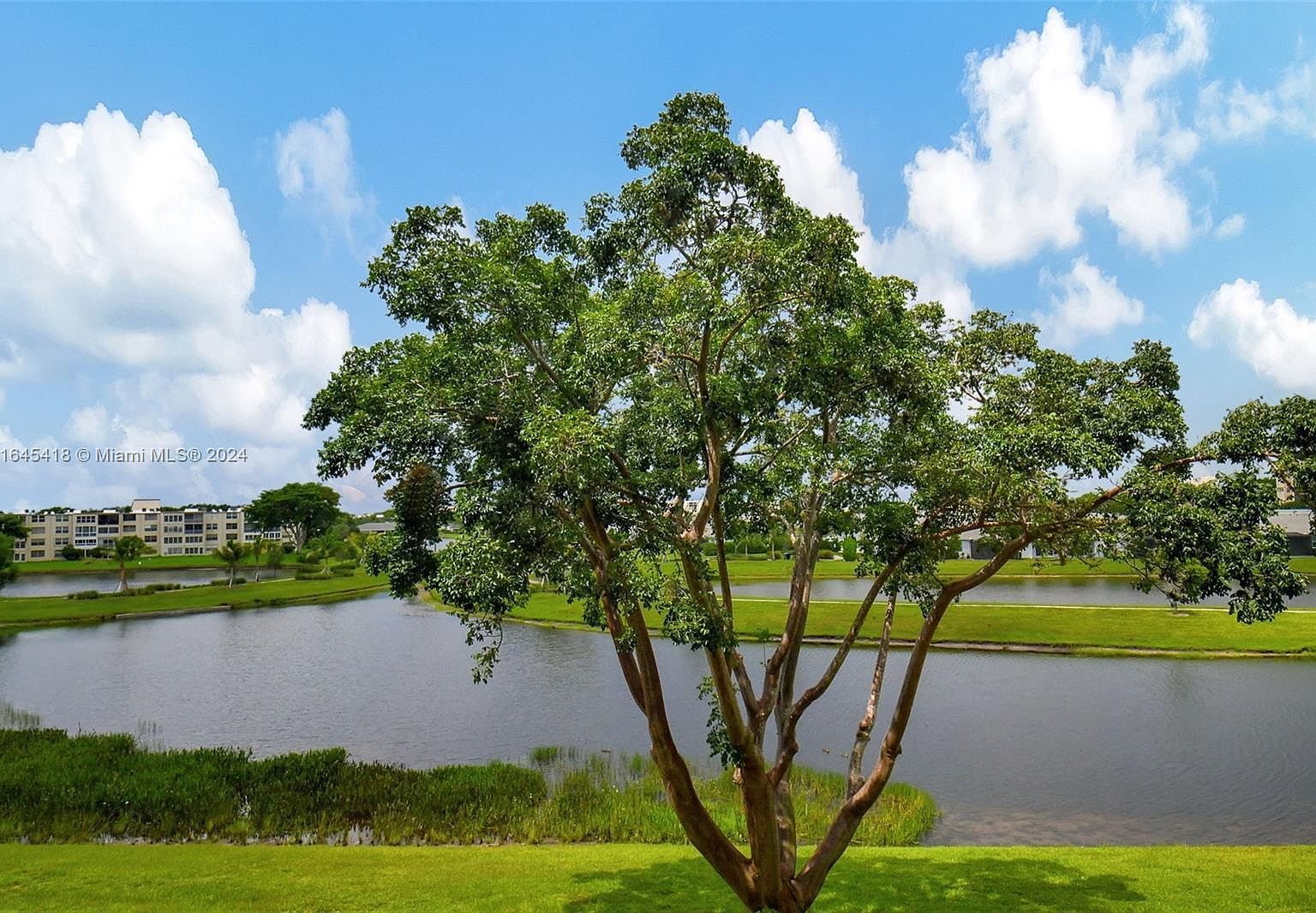 14575 Bonaire Blvd APT 308 Delray Beach, FL 33446 - Thumbnail 3