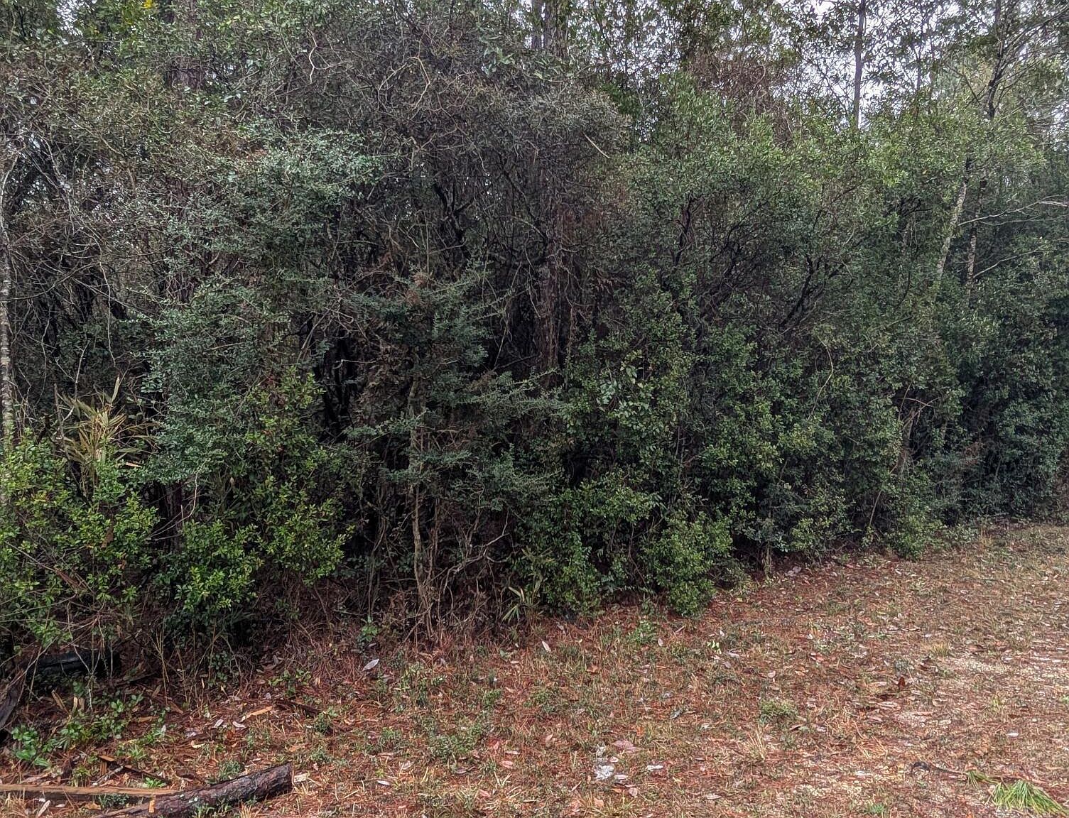 7 & 8 Gulf St #7&8 Bay Saint Louis, MS 39520  | Land/Lot