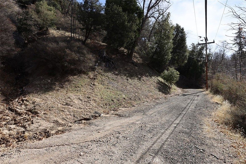 717 Acacia Rd Cedar Glen, CA 92321 - Thumbnail 3