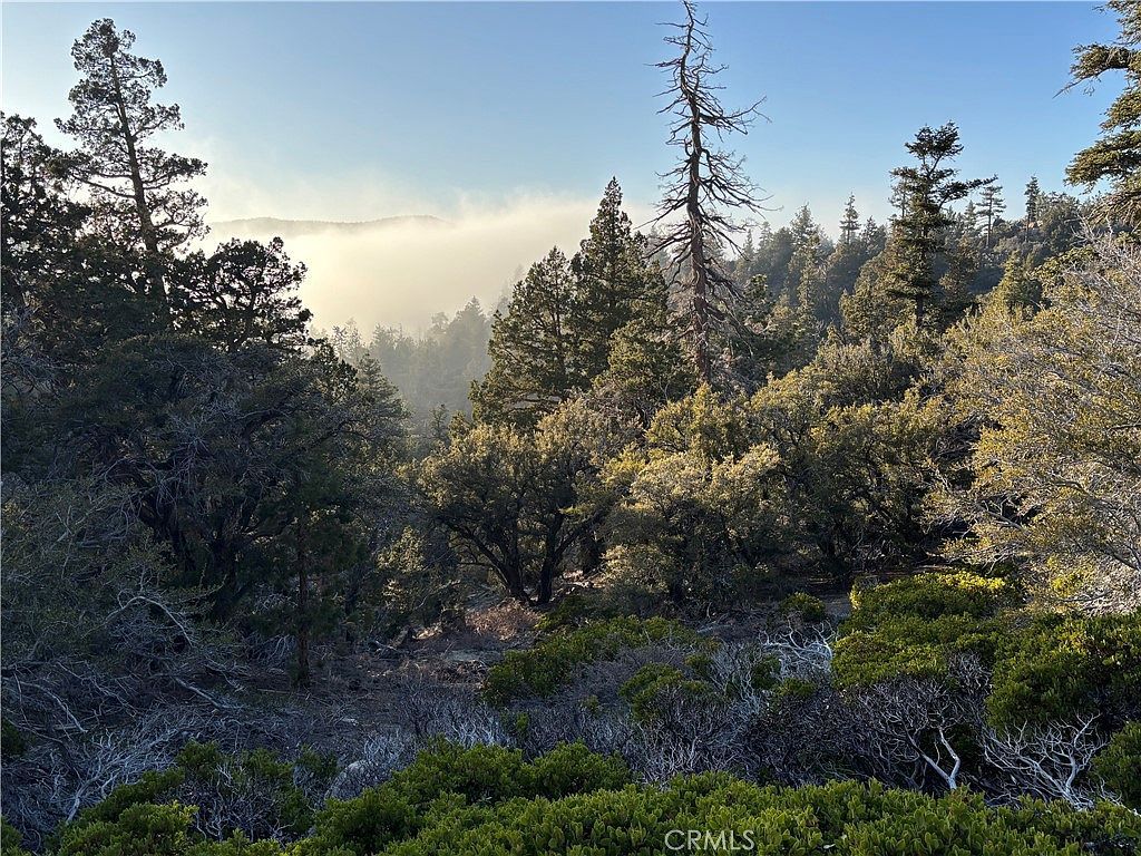 0 Ironwood Ln Angelus Oaks, CA 92305 - Thumbnail 3