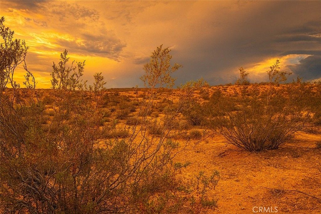 0 Bowman Trl Yucca Valley, CA 92284 - Thumbnail 3