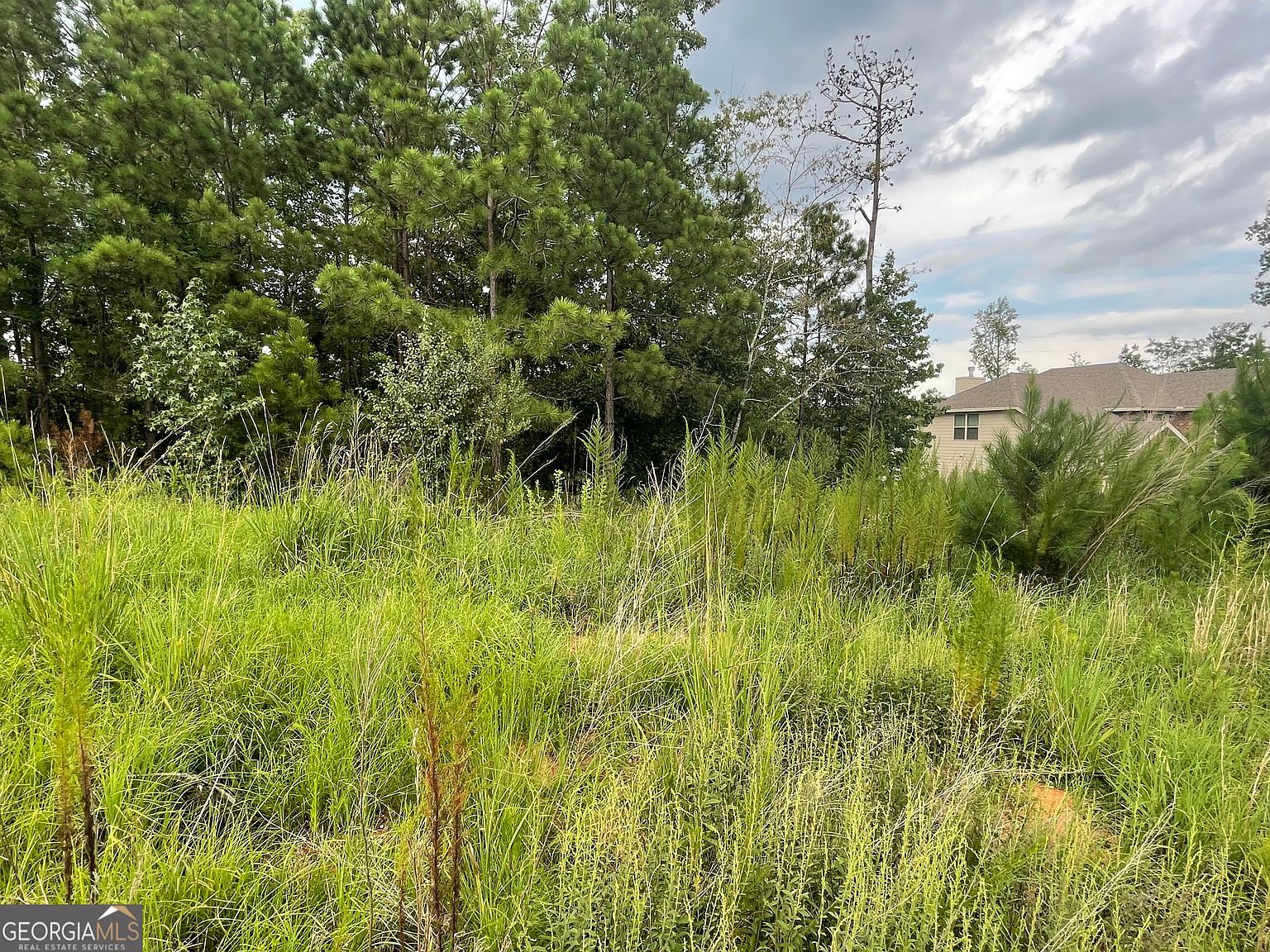 1818 Abbey Rd Griffin, GA 30223 - Thumbnail 3