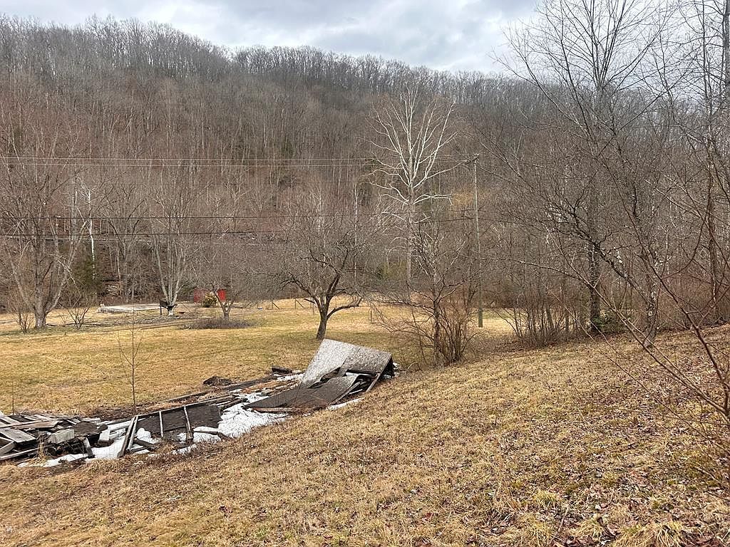 225 Lynfield Pl Artie, WV 25008 - Thumbnail 3