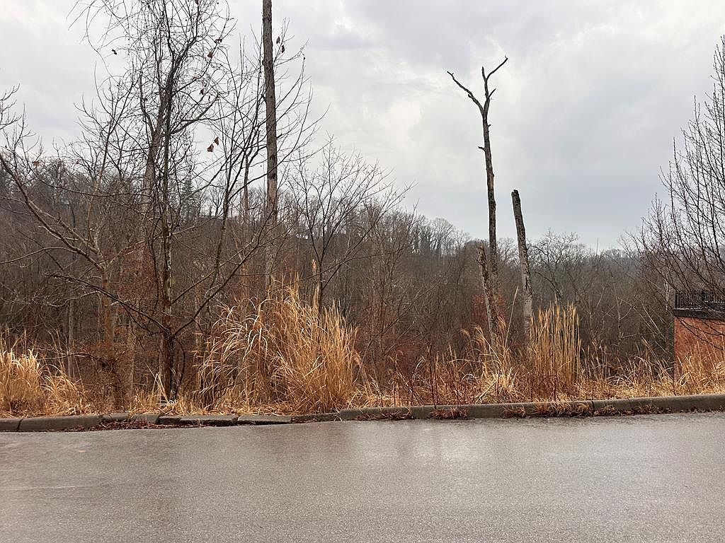 9 Joplin Pl South Charleston, WV 25303 - Thumbnail 3