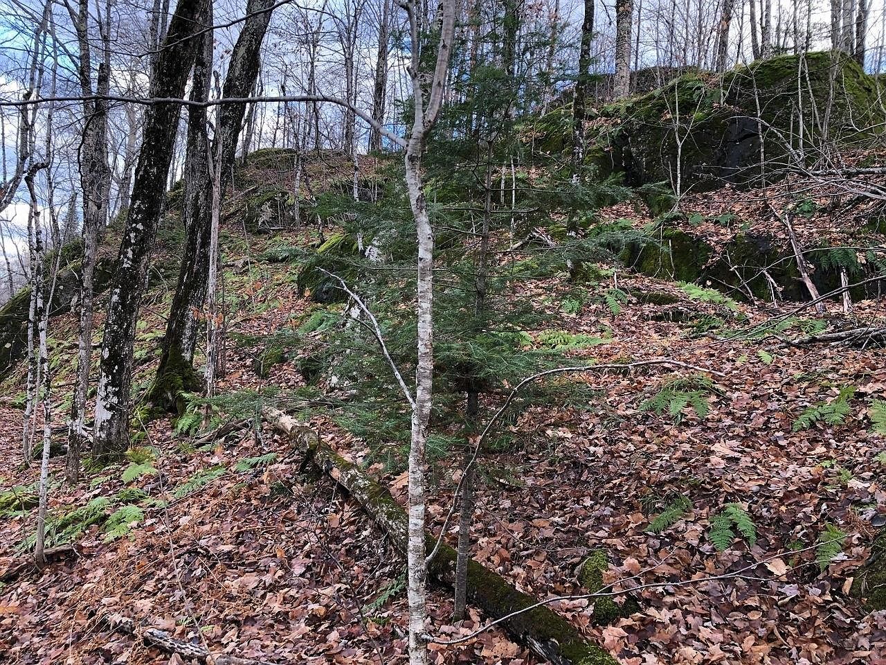 Outlot 3 Skye Dr Upson, WI 54565 - Thumbnail 3