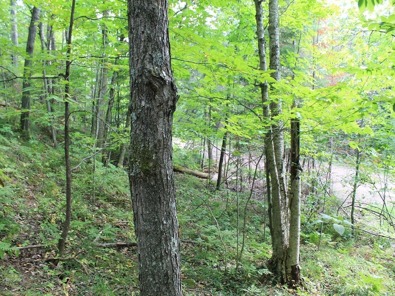 N Alpine Dr Lot 15 Upson, WI 54565 - Thumbnail 3