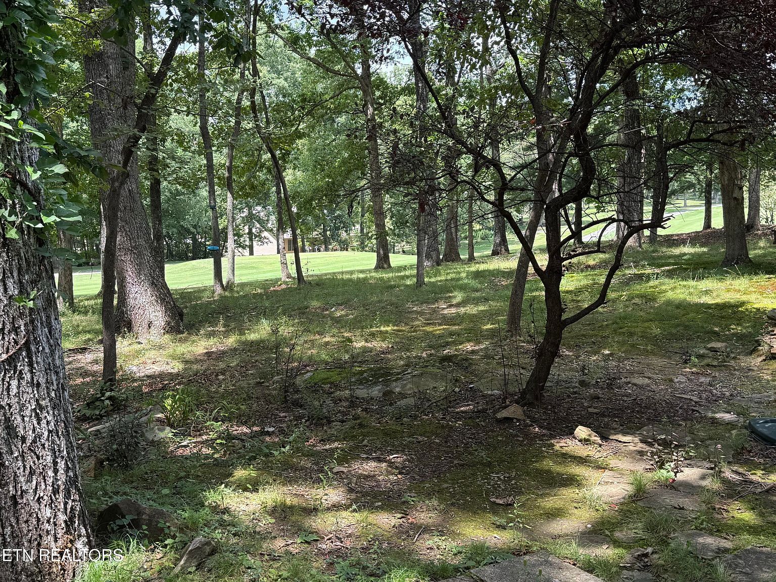 124 Rolling Green Dr Fairfield Glade, TN 38558 | Single Family