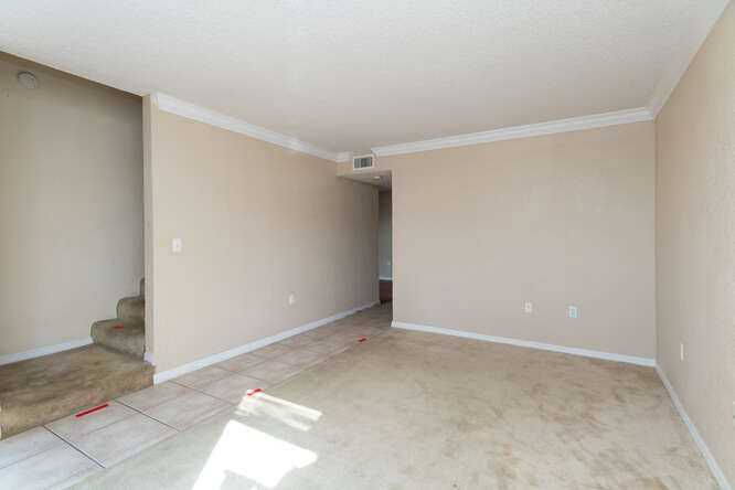 728 Haven Place, Tarpon Springs, FL, USA, 34689 - Thumbnail 3