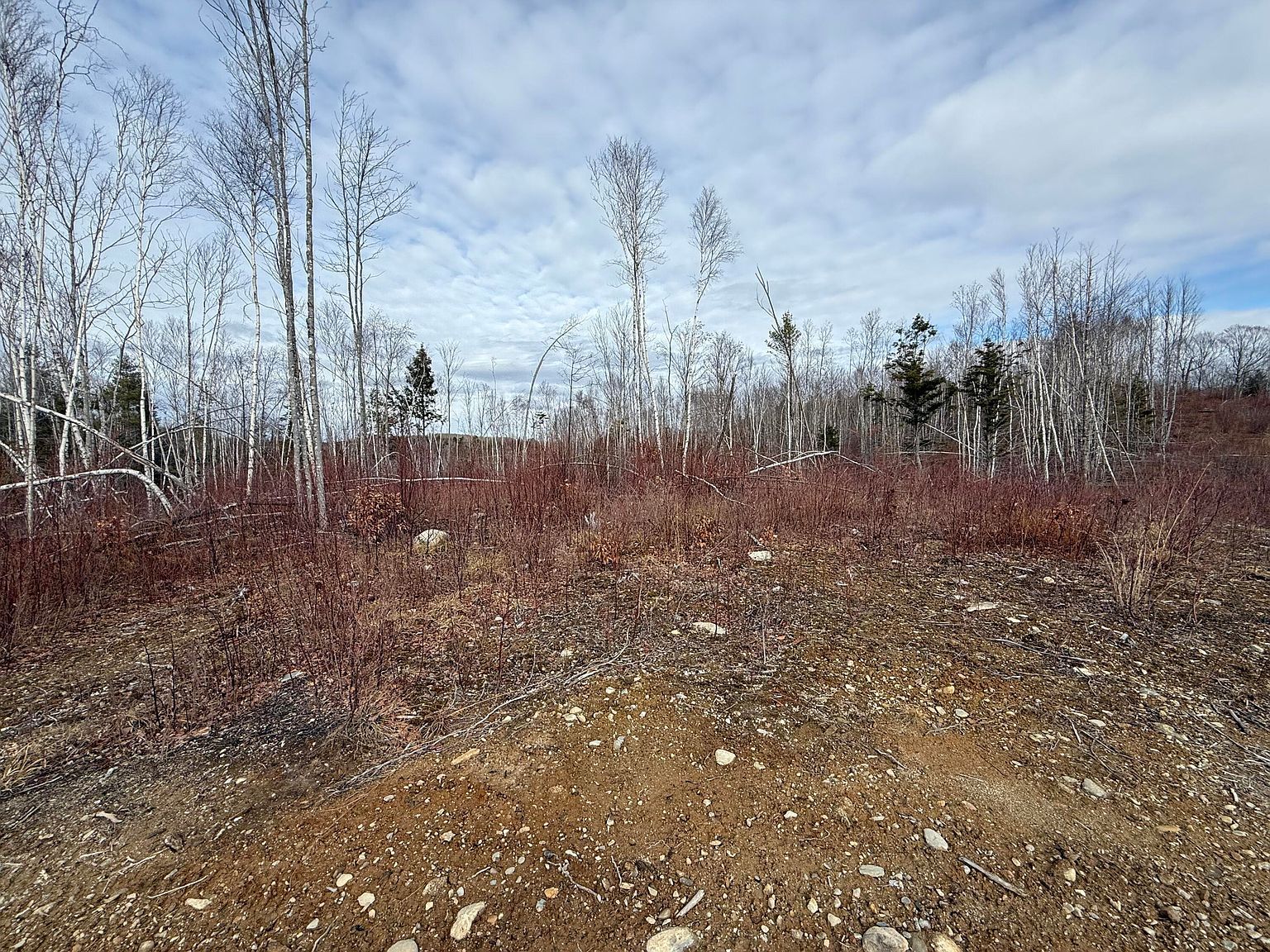 13 E Moores Rd Springfield, ME 04487 - Thumbnail 3