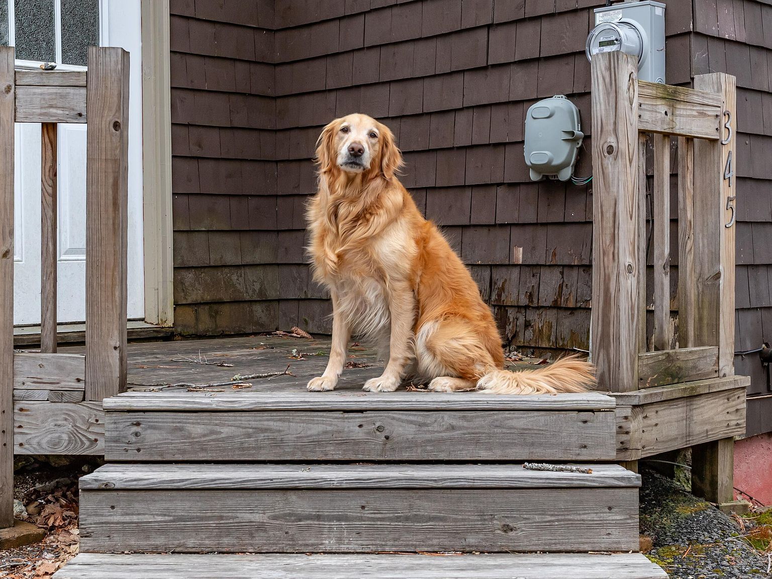 345 Wiswell Rd Brewer, ME 04412 - Thumbnail 3