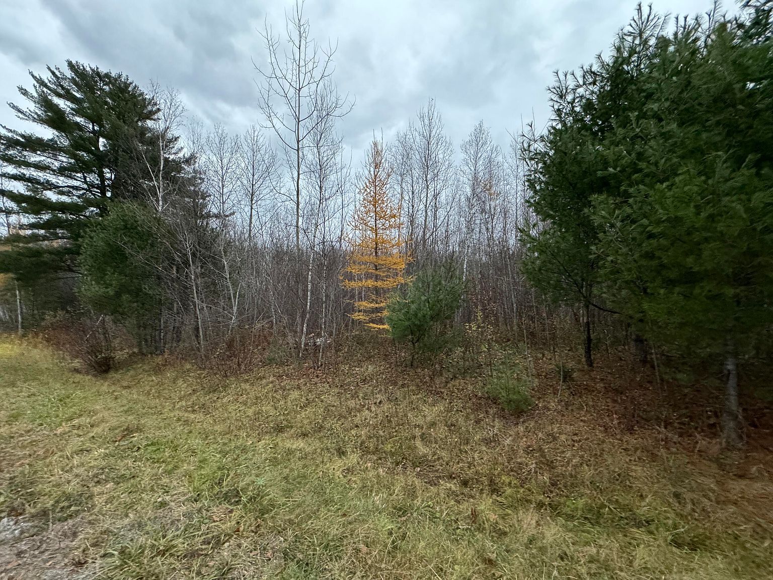 8 Caron Dr Howland, ME 04448 - Thumbnail 3