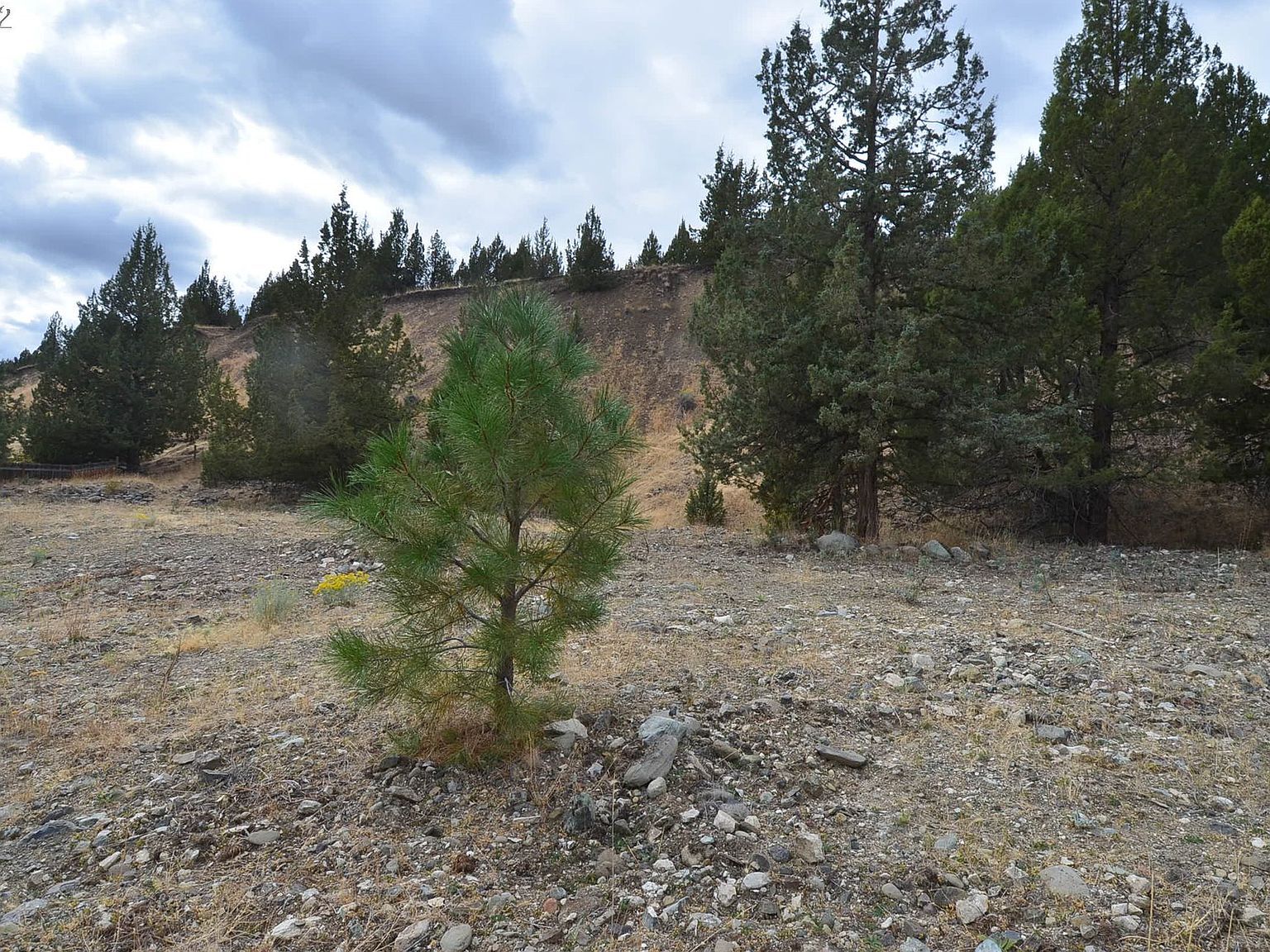 2700 Elkview Dr Canyon City, OR 97820 - Thumbnail 3