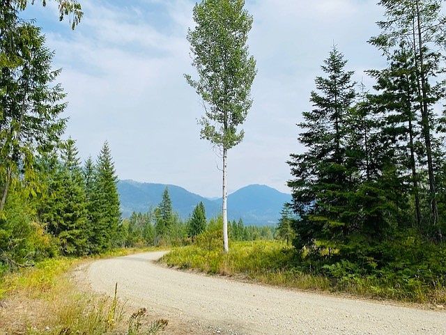 Nhn Creek View Ln Heron, MT 59844 - Thumbnail 3