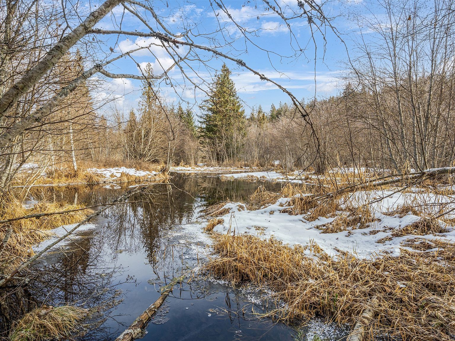 103 Little Joe Rd Saint Regis, MT 59866 - Thumbnail 3