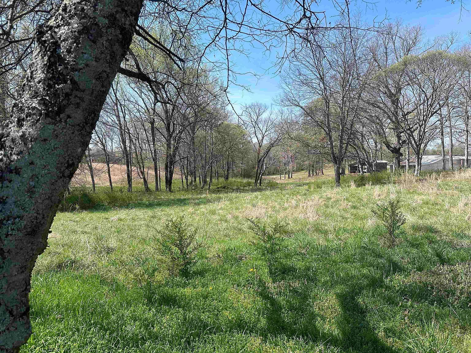 3.14 Acres Hwy #101 Rogersville, AL 35652 - Thumbnail 3