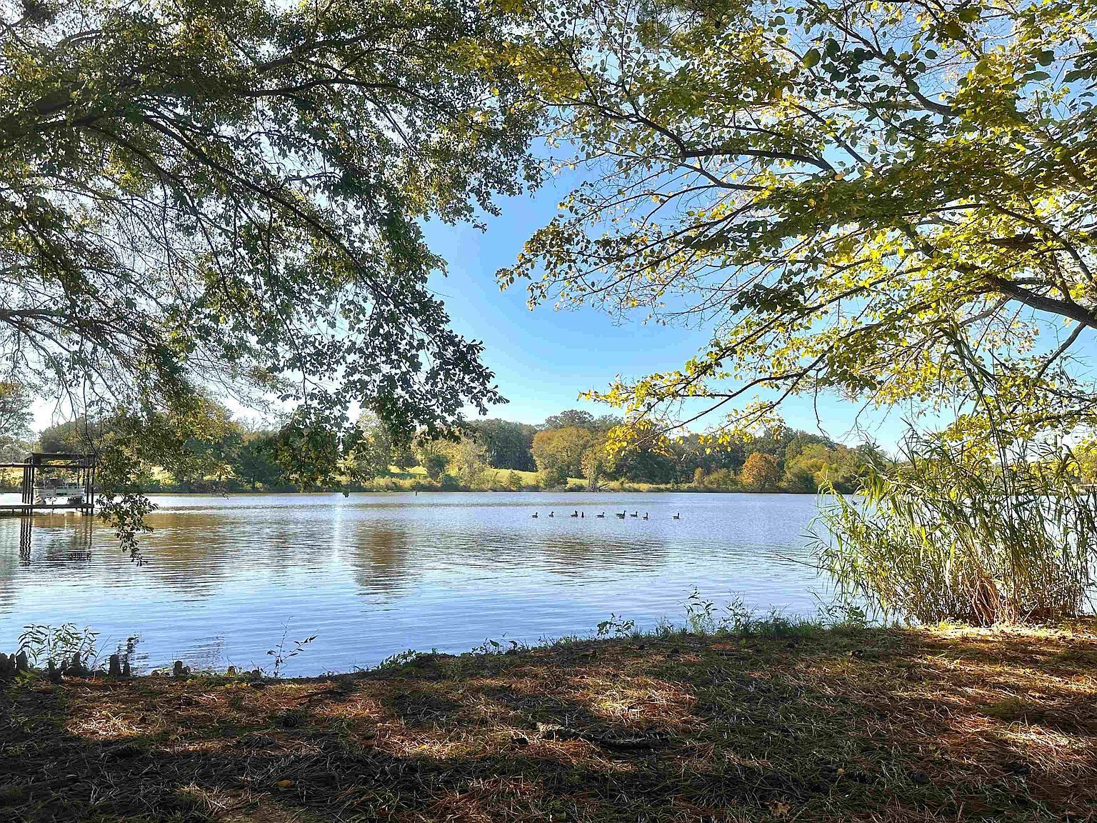 145 Lakewood Dr Muscle Shoals, AL 35661 - Thumbnail 3