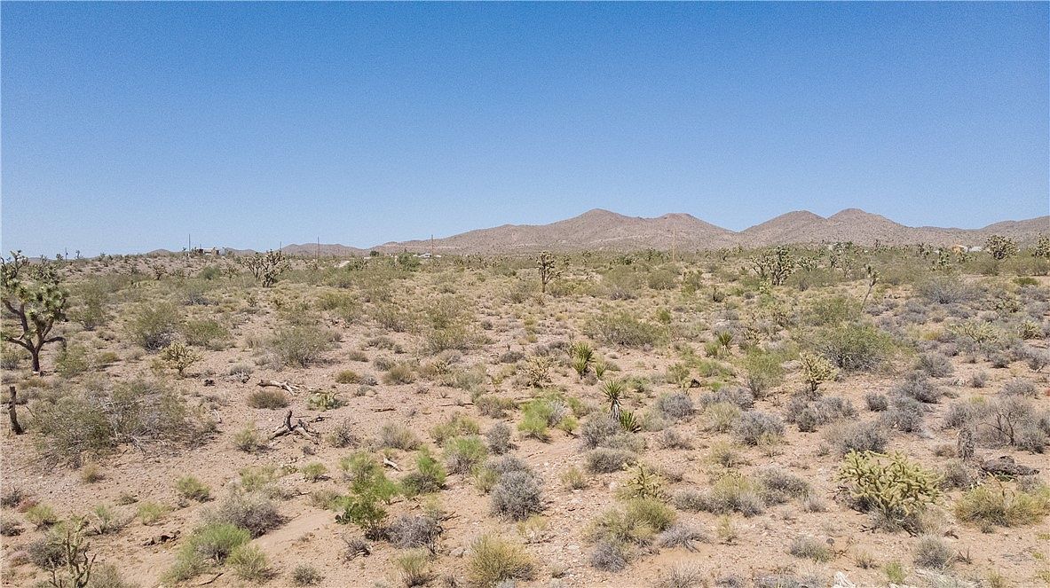 8255 Santa Cruz Willow Beach, AZ 86445 - Thumbnail 3