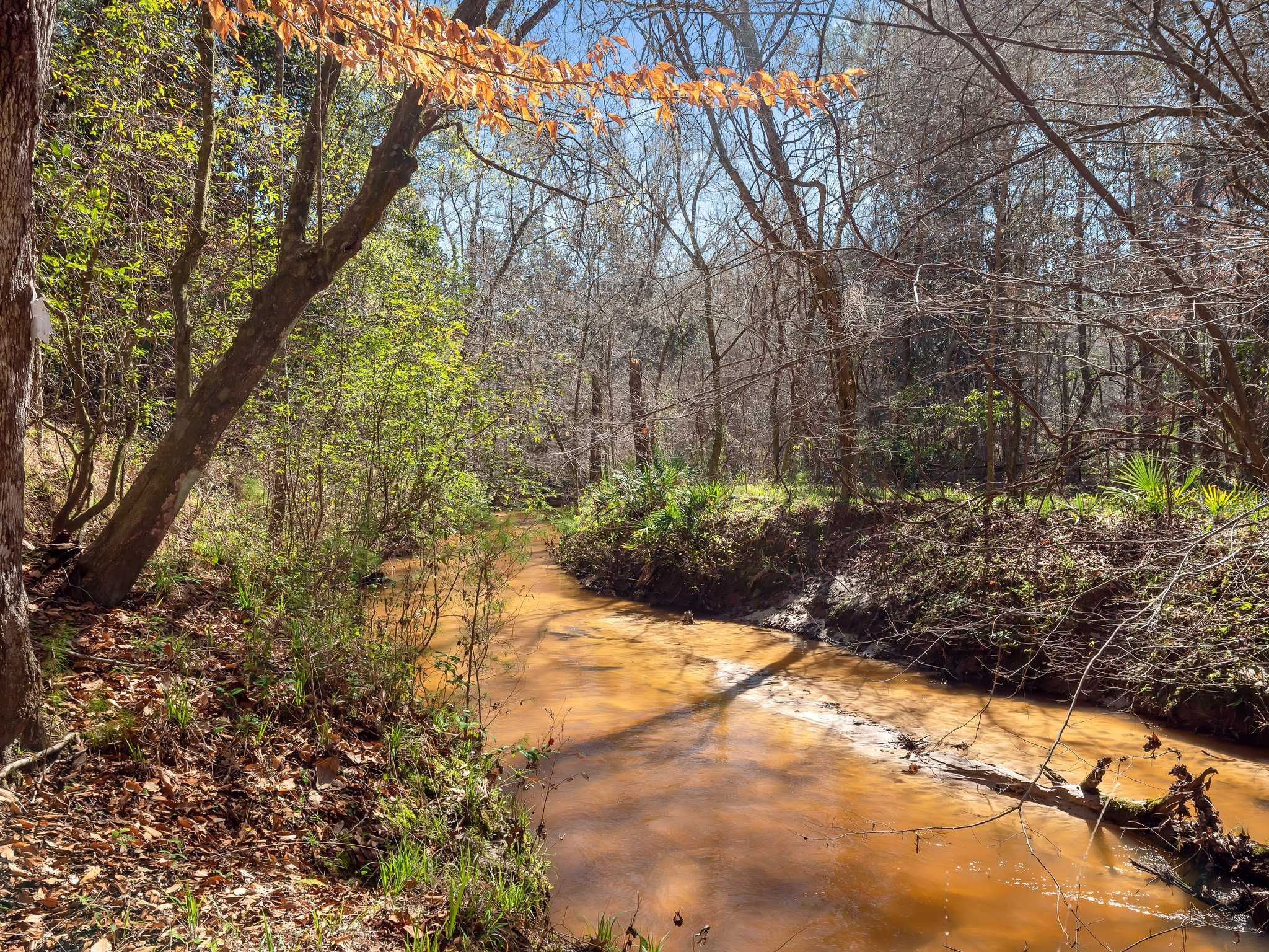 11274 Old Federal Road, Quincy, FL, USA, 32351 - Thumbnail 4